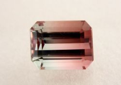 【高品質】ナイジェリア産バイカラートルマリン1.68カラット オクタゴン7x5.5mm