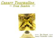 【アクセサリールース】深みのあるイエローの輝き！！　ザンビア産カナリートルマリン0.60ｃｔ．　スクエアシェイプ5ｍｍ
