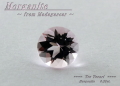 マダガスカル産モルガナイト☆ラウンドシェイプ4mm☆約0.23ct☆