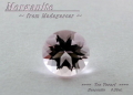 マダガスカル産モルガナイト☆ラウンドシェイプ4.1mm☆約0.25ct☆