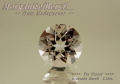 【アクセサリールース】ダイヤのような輝き！！マダガスカル産モルガナイト（ベリル）ルース１.13ｃｔ．ラウンドシェイプ７ｍｍ
