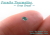 ブラジル産パライバトルマリン☆オーバルシェイプ約3x2ｍｍ☆0.05ct.☆