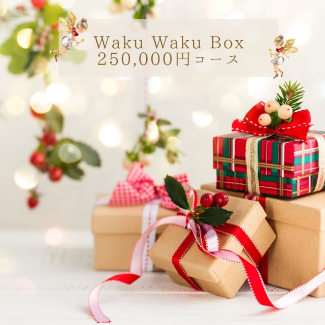 Waku Waku Box 2025 25万円コース