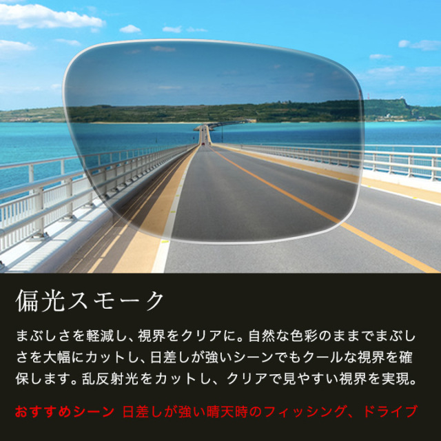 A-FIT 偏光サングラス 2種類の偏光レンズセット AF-001 | 【公式