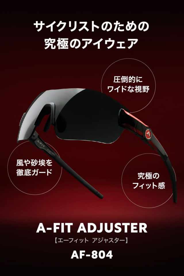 A-FIT スポーツサングラス フィットマスター 偏光スモーク