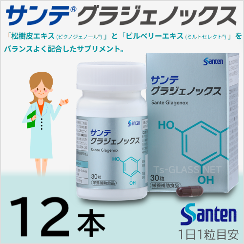 限定Ｗ特典付属 [参天製薬] サンテ グラジェノックス 12個 - その他