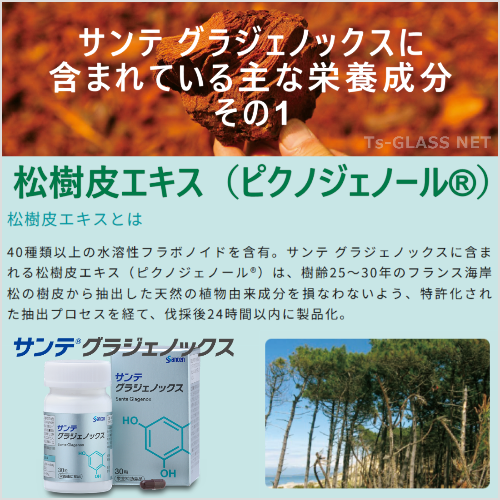 サンテ　グラジェノックス　参天製薬　栄養成分1