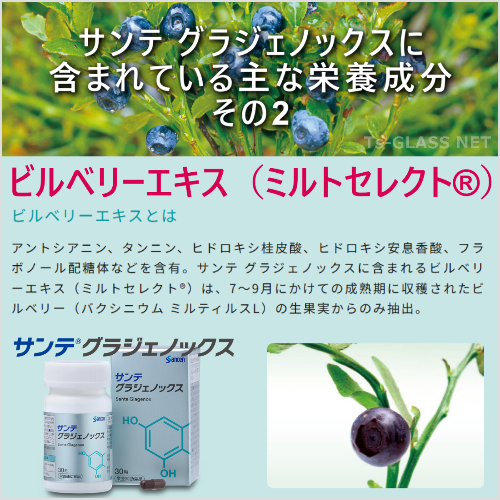 サンテ　グラジェノックス　参天製薬　栄養成分2