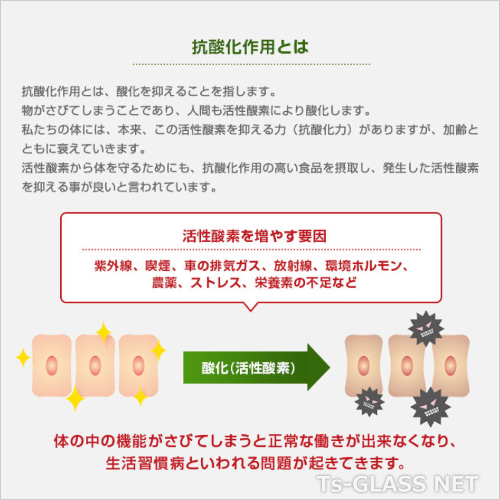 抗酸化作用の説明画像