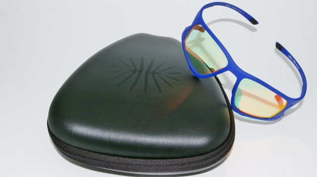 PARASITE（パラサイト）サングラス　NINJA　col.C04　P-224T ケース付き画像