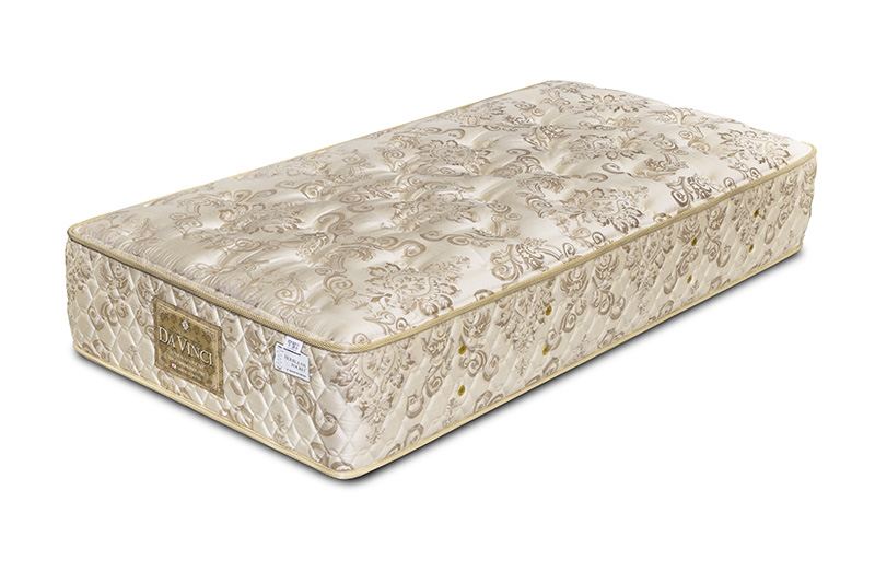 ダヴィンチ画像-表紙用