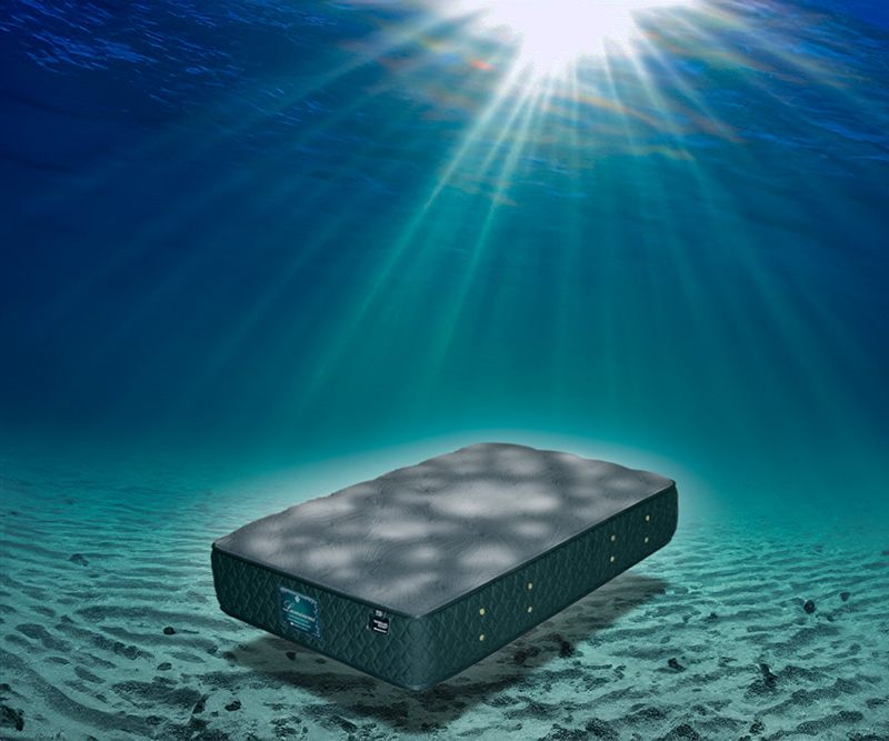 1点ものルミナス画像020-2