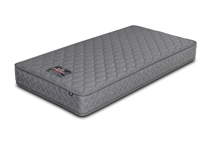 スーパーストロングプロ表紙用