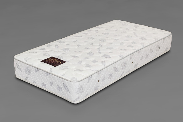 1点ものダビンチインテンス復刻版　画像01