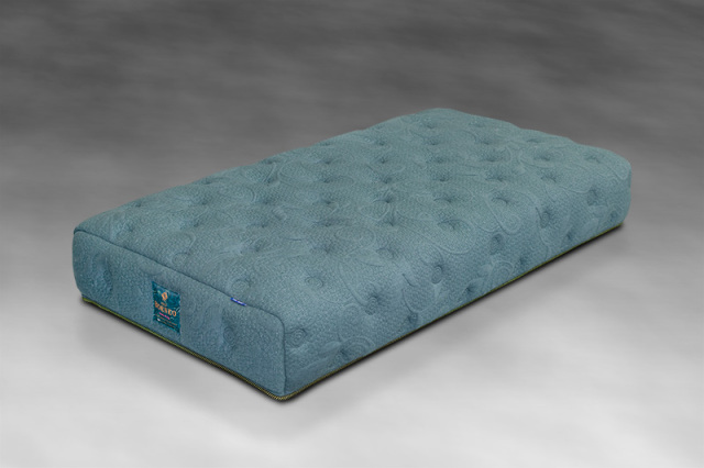 画像ネオボルネオ