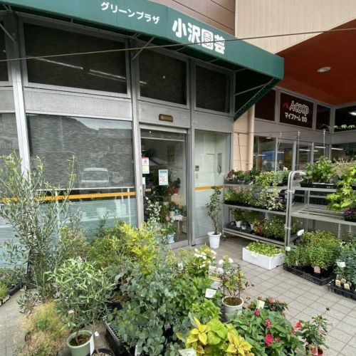 小沢園芸Aコープせの店