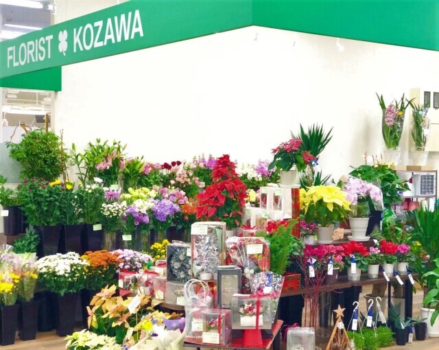 【月額定額制】ロハスフラワー【FLORISTKOZAWAフジ熊野店(安芸郡熊野町)】<ご来店>グランプラン