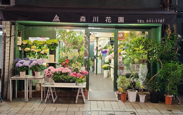【月額定額制】ロハスフラワー【森川花園(広島市中区)】<ご来店>グランプラン