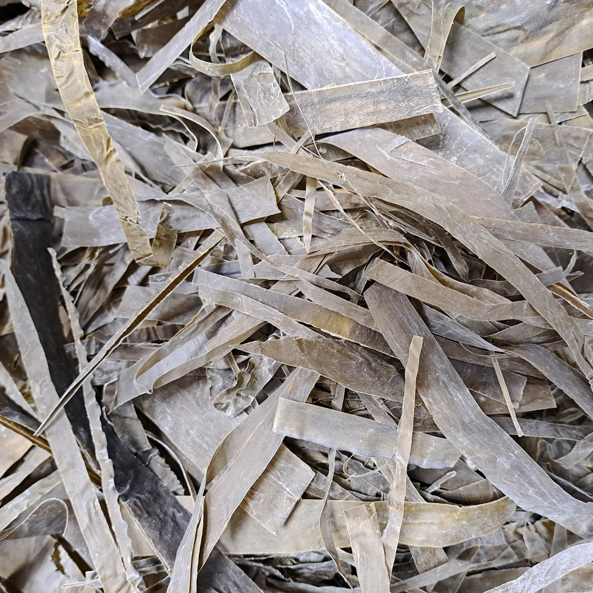 だし用昆布お切れ端（お徳用 ）1kg