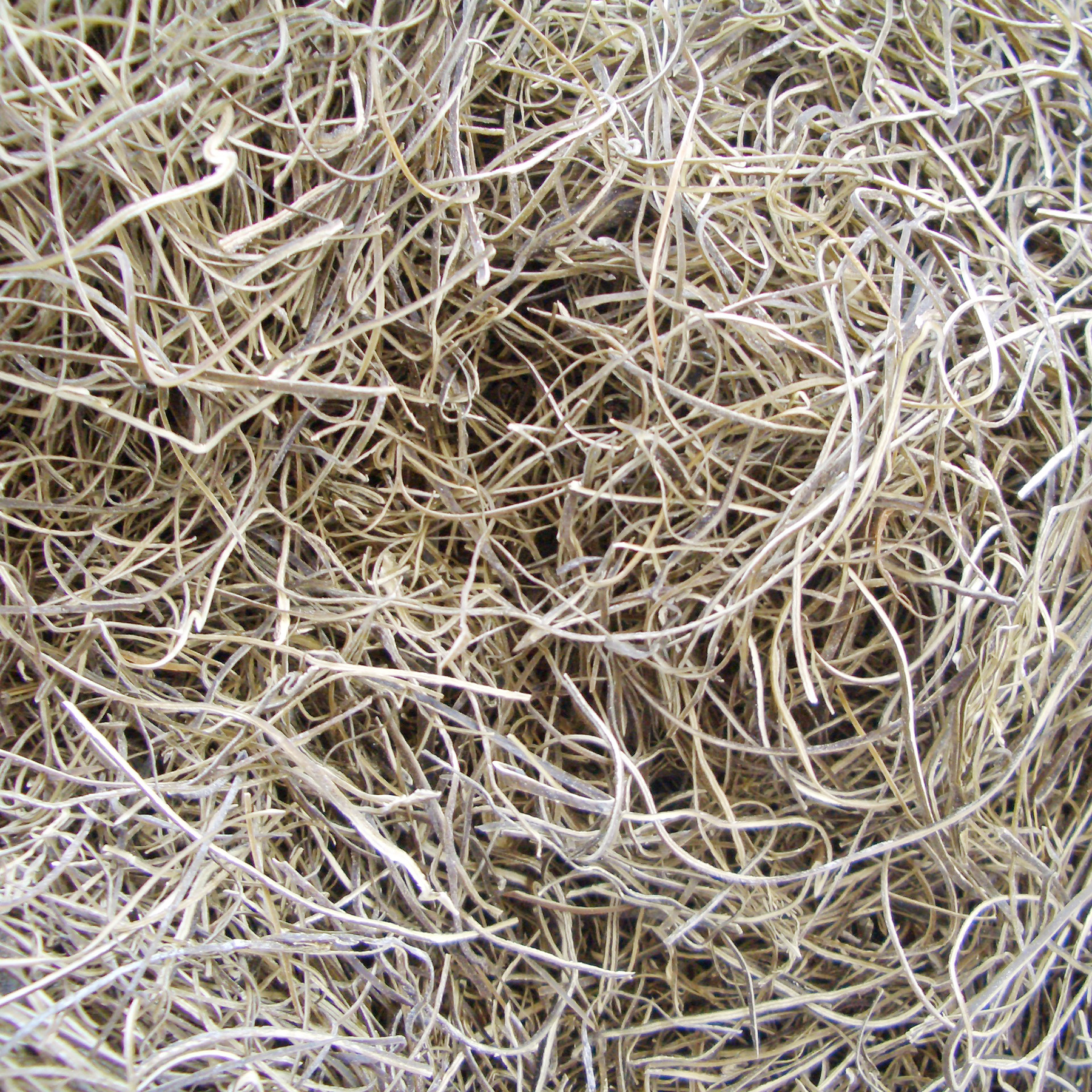 早煮細きざみ昆布