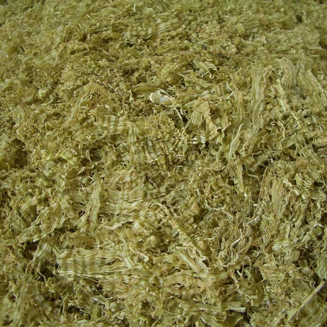 昆布ろりー usa788.jpg