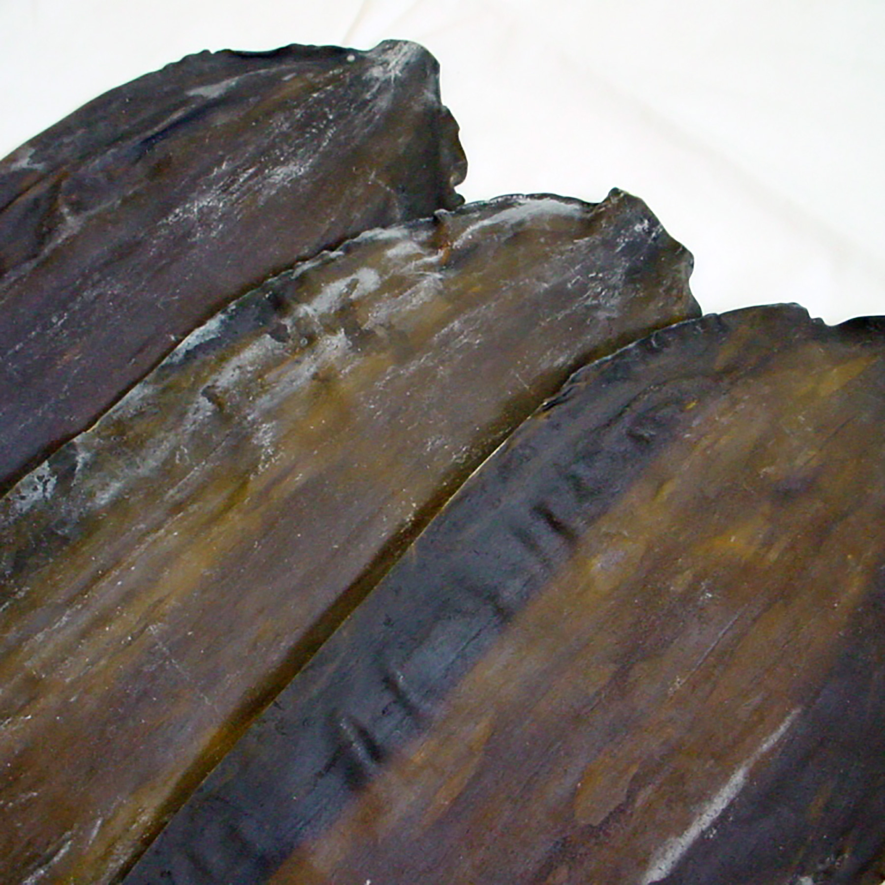 羅臼昆布（養殖）2等検