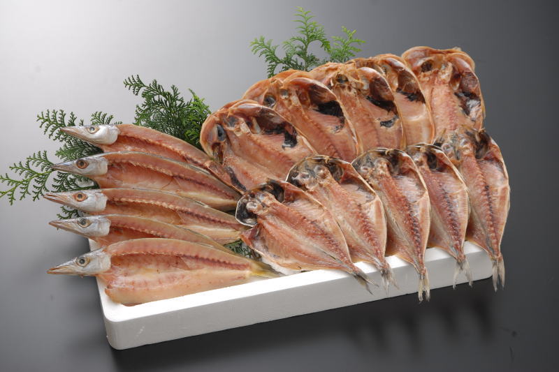 大漁５枚ずつセット【送料無料】