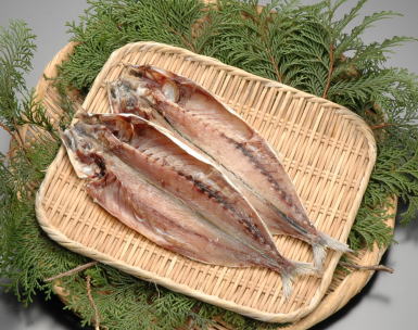 《干物のルーツ》むろアジ干物