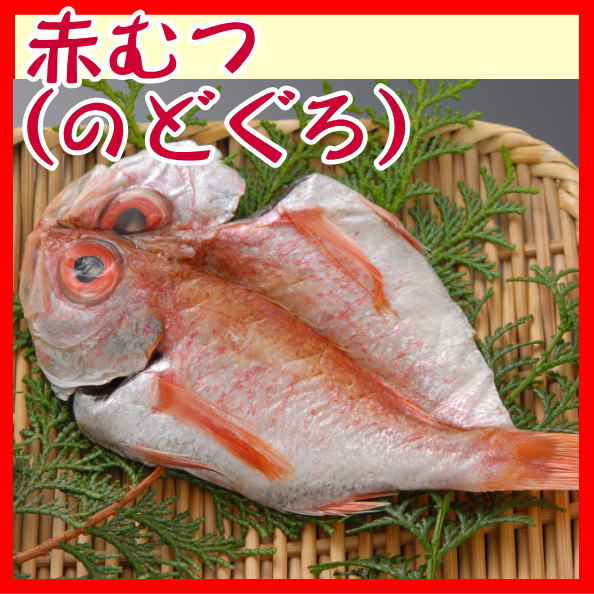 【受注生産】赤むつ（ノドグロ）干物単位販売