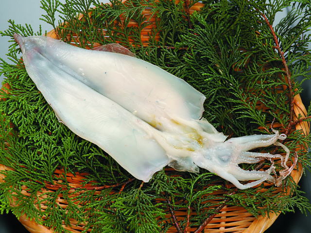 やりいか生干し