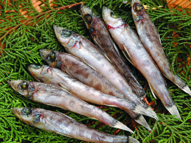 《駿河湾の地魚》めひかり丸干し100ｇ単位販売