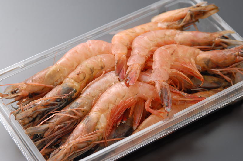 駿河湾産天然えび