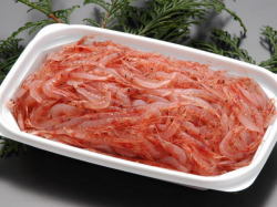 生桜えび100ｇ