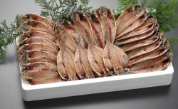 小型真あじ24枚セット【送料無料】