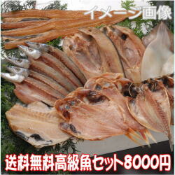 高級魚セット【送料無料】
