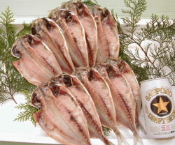 特選真あじ１０枚【送料無料】