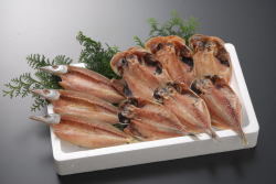 大漁３枚ずつセット【送料無料】