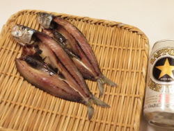 真いわし塩干し（２枚単位販売）