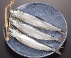 真いわし丸干し（３本１連単位販売）