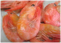 ボイルあま海老１００ｇ