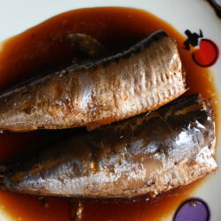 真いわし煮付け