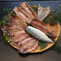 5種干物2枚ずつ10枚（さば塩干し入り）【送料込み】《ダンボール梱包》（5種類２枚づつ１０枚）