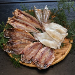 5種干物2枚ずつ10枚（いか生干し入り）【送料込み】《ダンボール梱包》（5種類２枚づつ１０枚）