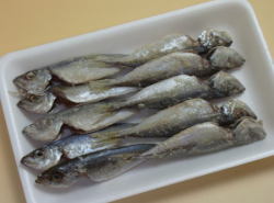《から揚げ用》豆あじ下処理済み
