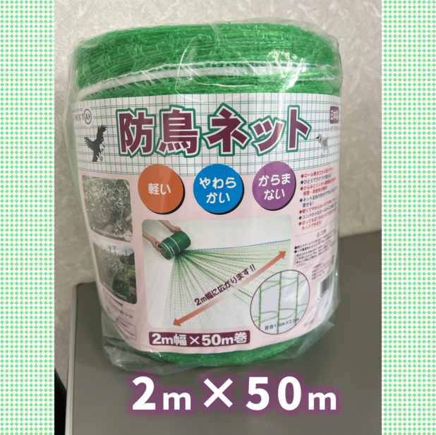 防鳥ネット　２ｍ幅×５０ｍ巻（グリーン）
