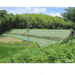 雑草抑制おまかせネット 通販 | 雑草対策に役立つ2m×50mシートの販売