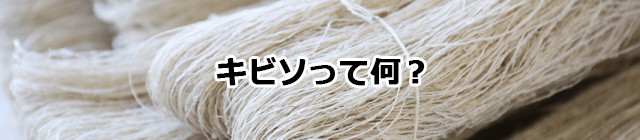 キビソって何