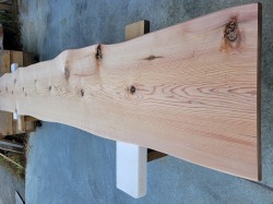 SG102 杉一枚板　約3000×30×400～420ｍｍ