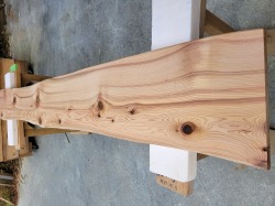 SG106 杉一枚板　約2000×30×250～300ｍｍ