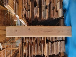 SG503 両耳つき杉一枚板　約1850×25×300～310mm 　樹齢約100年　天然熟成乾燥材　節あり　研磨仕上げ